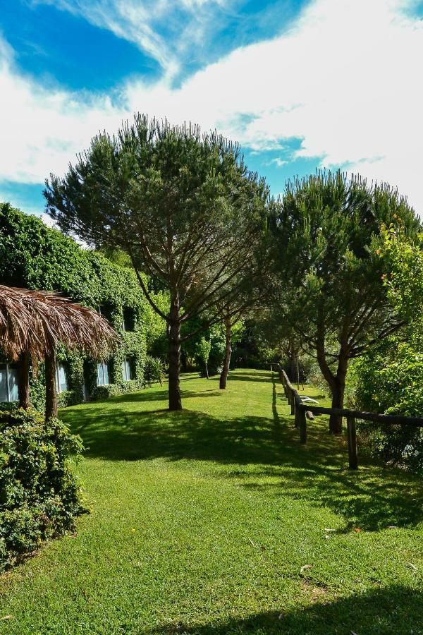Quinta Da Mafalda Mira  Exterior foto