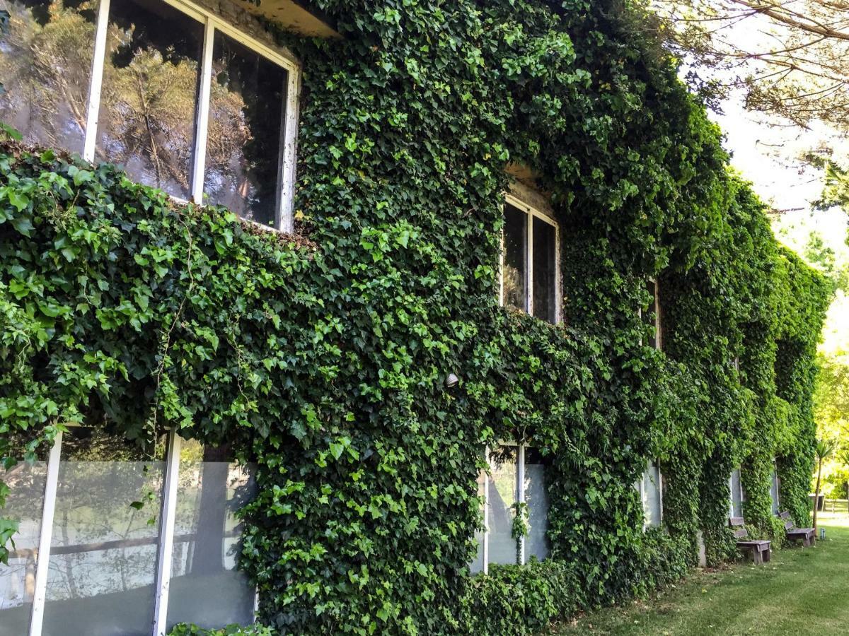 Quinta Da Mafalda Mira  Exterior foto